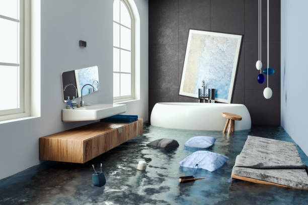 Best Professional water damage repair  in Festus, MO