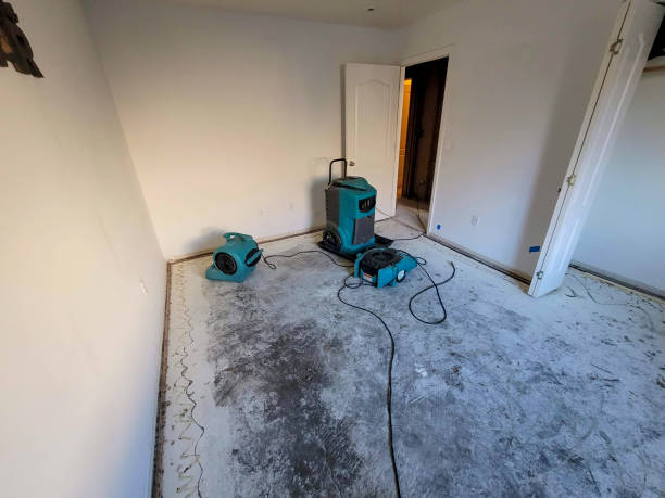 Carpet water damage restoration in Festus, MO