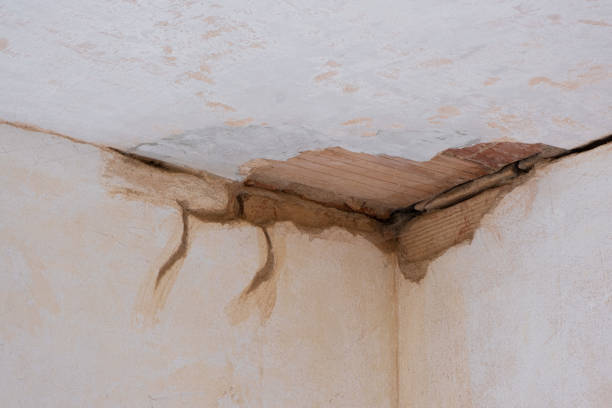 Best 24/7 water damage repair  in Festus, MO