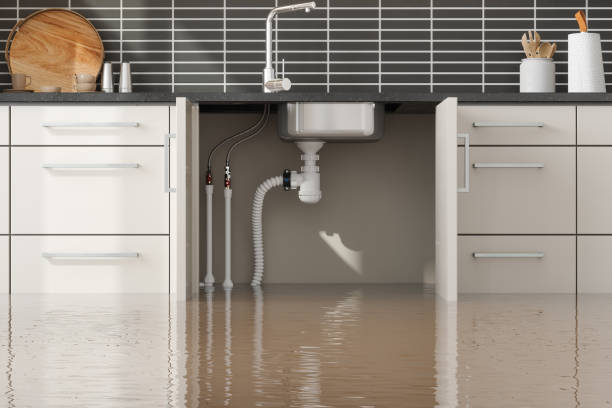 Best Water damage restoration cost  in Festus, MO