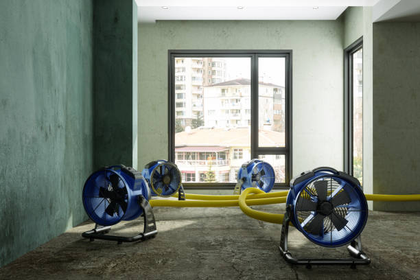 Best Sewage cleanup and water damage restoration  in Festus, MO